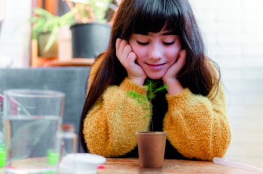 Logotrade werbemittel das Foto: Kiefernsamen-Set