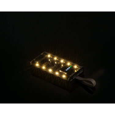 Logotrade Werbegeschenke das Foto: Powerbank 10 000 mAh DARWIN