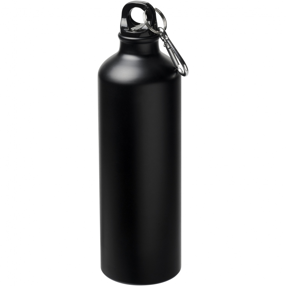 Logo trade promotional item photo of: Oregon 770 ml matte water bottle with carabiner