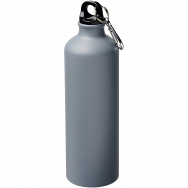 Logo trade promotional merchandise photo of: Oregon 770 ml matte water bottle with carabiner