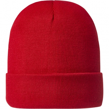 Logotrade promotional merchandise photo of: Irwin beanie