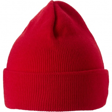 Logotrade corporate gift picture of: Irwin beanie