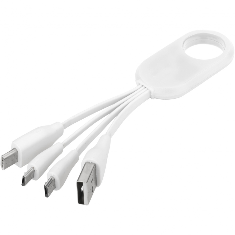 Logo trade promotional merchandise photo of: Troup 4-in-1 charging cable with type-C tip