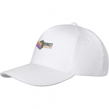 Logo trade promotional giveaways picture of: Doyle 5 panel cap