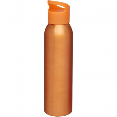 Logo trade promotional products picture of: Sky 650 ml water bottle
