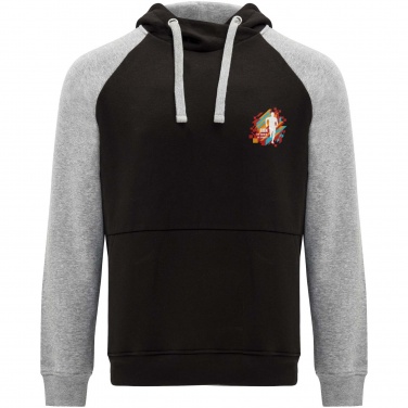 Logo trade promotional merchandise picture of: Badet unisex two-tone hoodie