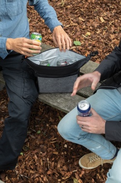 Logotrade promotional merchandise picture of: Two tone cooler bag