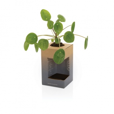 Logotrade business gift image of: Avira Alya RCS Re-steel tumbler 300 ml