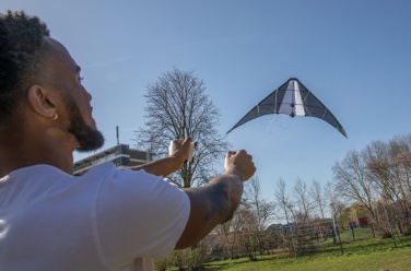 Logotrade promotional product picture of: Delta kite