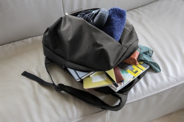 Logotrade promotional merchandise picture of: Smart office & sport backpack