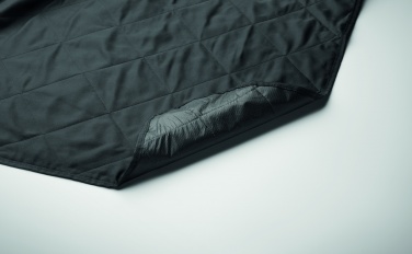 Logotrade promotional item image of: Foldable picnic blanket