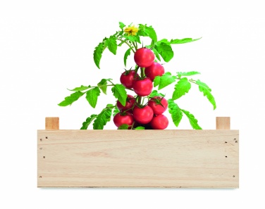 Logo trade promotional giveaway photo of: Tomato kit in wooden crate