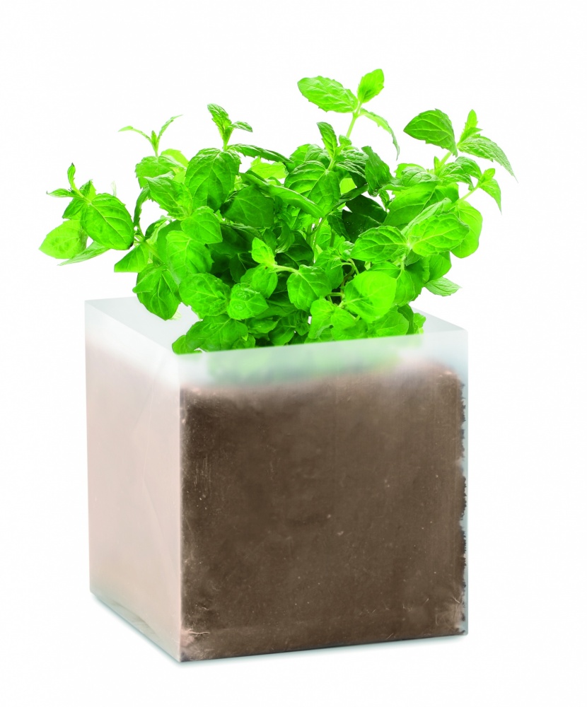 Logotrade promotional gift image of: Compost with seeds "MINT"
