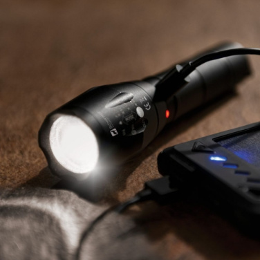Logotrade promotional product image of: Flashlight DELGADA Schwarzwolf