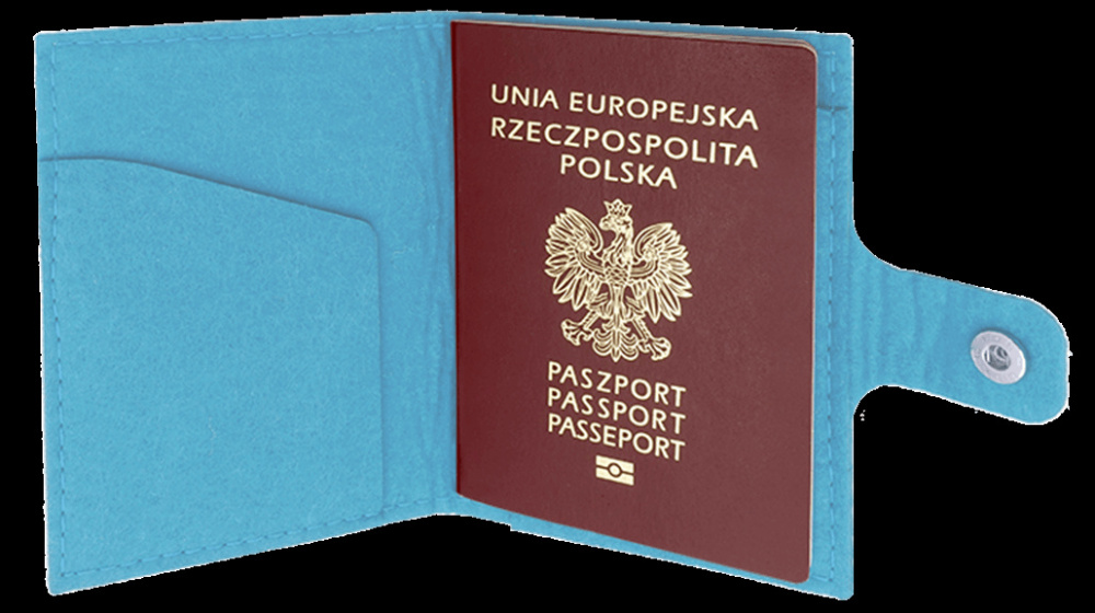 Logotrade promotional products photo of: Passport case 84106200