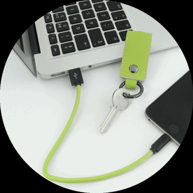 Logotrade promotional products photo of: Keyring 59612900