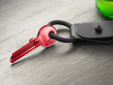 Logo trade advertising products picture of: Keyring 1709094
