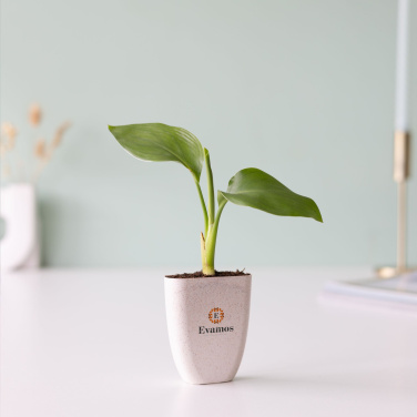 Logotrade advertising product image of: Treemore Letterbox Trees Bird of Paradise plant
