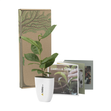 Logo trade promotional giveaway photo of: Treemore Letterbox Trees Tea plant