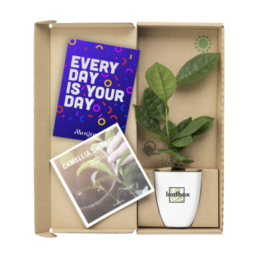 Logotrade corporate gifts photo of: Treemore Letterbox Trees Tea plant