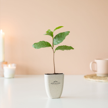 Logo trade promotional product photo of: Treemore Letterbox Trees Tea plant