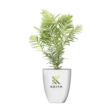 Logo trade corporate gifts picture of: Treemore Letterbox Trees Giant Sequoia