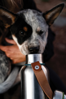Logotrade advertising product image of: Black+Blum Insulated Water Bottle Small 500ml