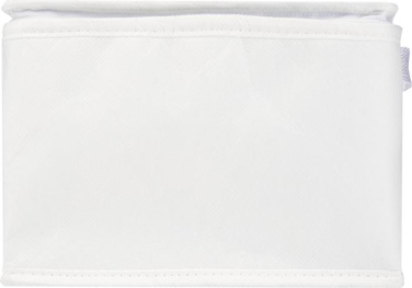 Logo trade promotional gifts picture of: Spectrum 6-can recycled non-woven cooler bag 4L