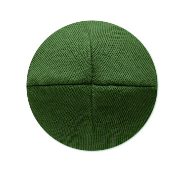 Logotrade promotional items photo of: Unisex beanie RPET polyester