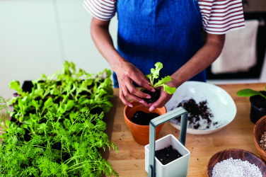 Logotrade promotional giveaways photo of: Indoor garden with LED light