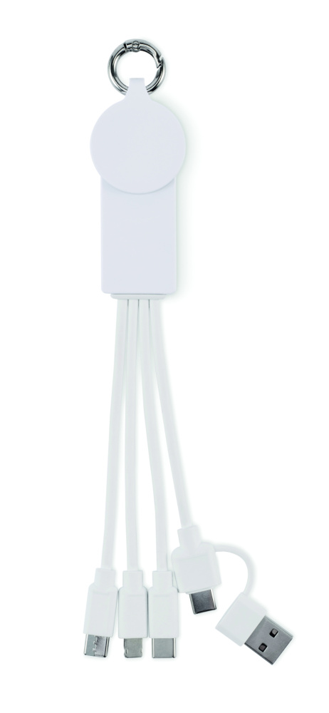 Logo trade promotional giveaway photo of: 2 in 1 charging cable type-C