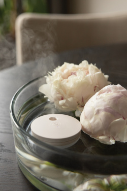 Logo trade corporate gifts picture of: Breevia RCS rplasic re-chargeable floating humidifier