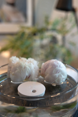 Logo trade corporate gifts picture of: Breevia RCS rplasic re-chargeable floating humidifier