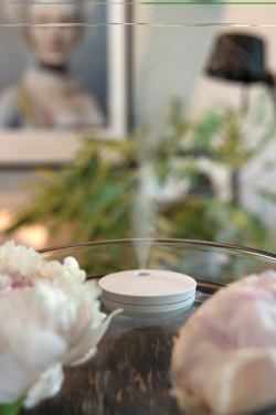 Logo trade promotional giveaways picture of: Breevia RCS rplasic re-chargeable floating humidifier