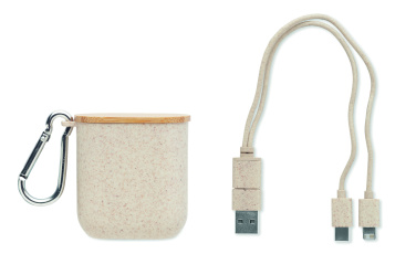 Logo trade promotional giveaways image of: Cable set in case