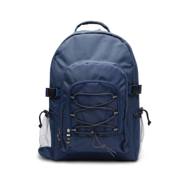 Logotrade promotional merchandise picture of: VINGA Parks cooler backpack
