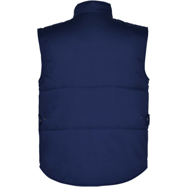 Logotrade business gifts photo of: Amanzor multi-purpose workwear bodywarmer with high neck
