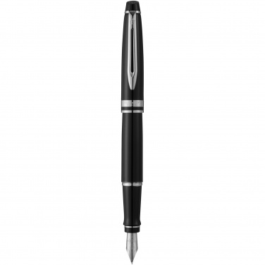 Logotrade firmakingid pilt: Waterman Expert täitesulepea