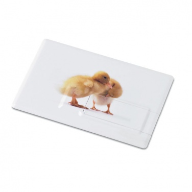 Logo trade ärikingituse pilt: Krediitkaart. USB-välkmälu 4 GB