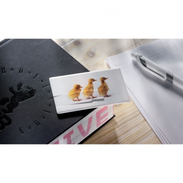 Logotrade meened pilt: Krediitkaart. USB-välkmälu 4 GB