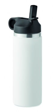 Logo trade reklaamkingituse pilt: Kaheseinaline pudel 500 ml