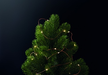 Logo trade reklaamkingituse pilt: LED haldja tulede nöör 5m