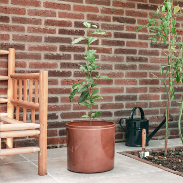 Logo trade firmakingi pilt: Treemore Letterbox Trees Teetaim