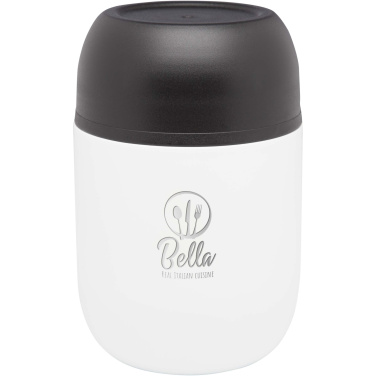 Logotrade firmakingid pilt: Supo 480 ml topeltseinaga lõunasöögitermos