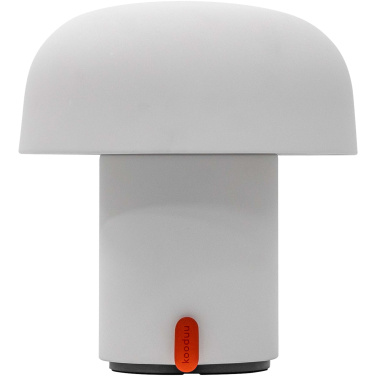 Logotrade firmakingituse foto: Kooduu Sensa Play JBL kaasaskantav kõlar ja lamp