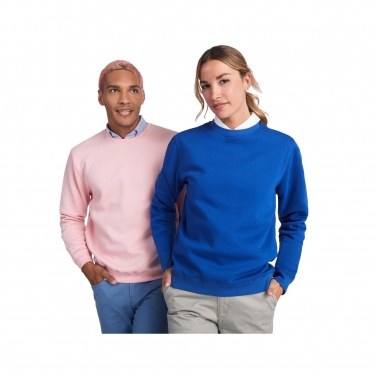 Logo trade mainoslahja kuva: Batian unisex -svetari pyöreällä kaula-aukolla