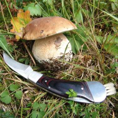 Logo trade mainoslahja kuva: Sieniveitsi PILZ Schwarzwolf