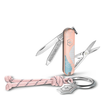 Logo trade liikelahja mainoslahja tuotekuva: Victorinox taskuveitsi Classic SD, 58 mm, Celidor, Paris Style