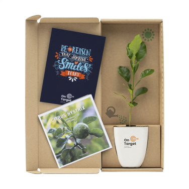 Logo trade liikelahjat mainoslahjat kuva: Treemore Letterbox Trees Kaffir Lemon